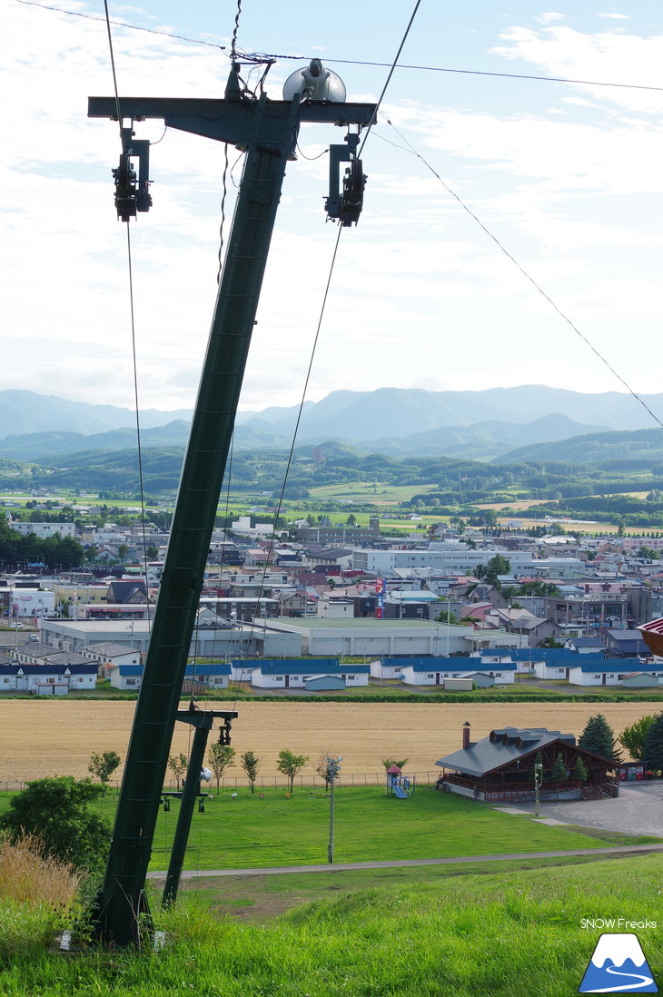 カメラを片手に夏の中富良野～上富良野・ラベンダー花畑巡り☆